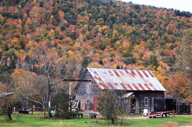 barn and autumn leaves